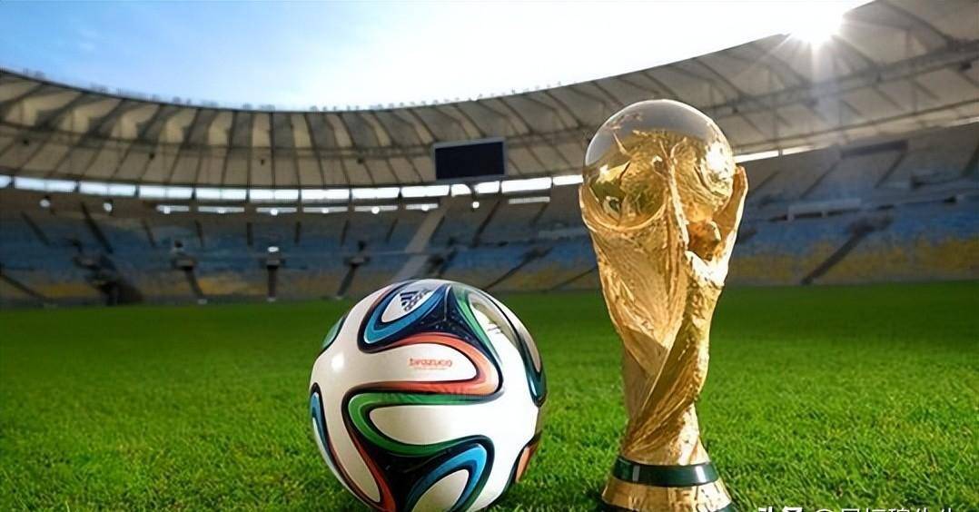 王上源：希望下次能够拿回冠军奖杯献给河南球迷（王上源：盼下次捧回冠军奖杯，献给河南球迷）