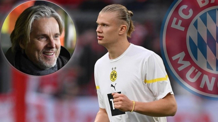 本土球员迎来爆发期（本土球员进入爆发阶段）